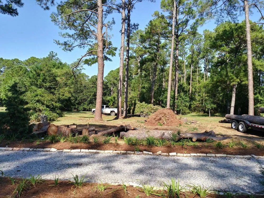 Expert landscaping services for beautiful yards across Foley, AL - Top To Bottom Tree Care