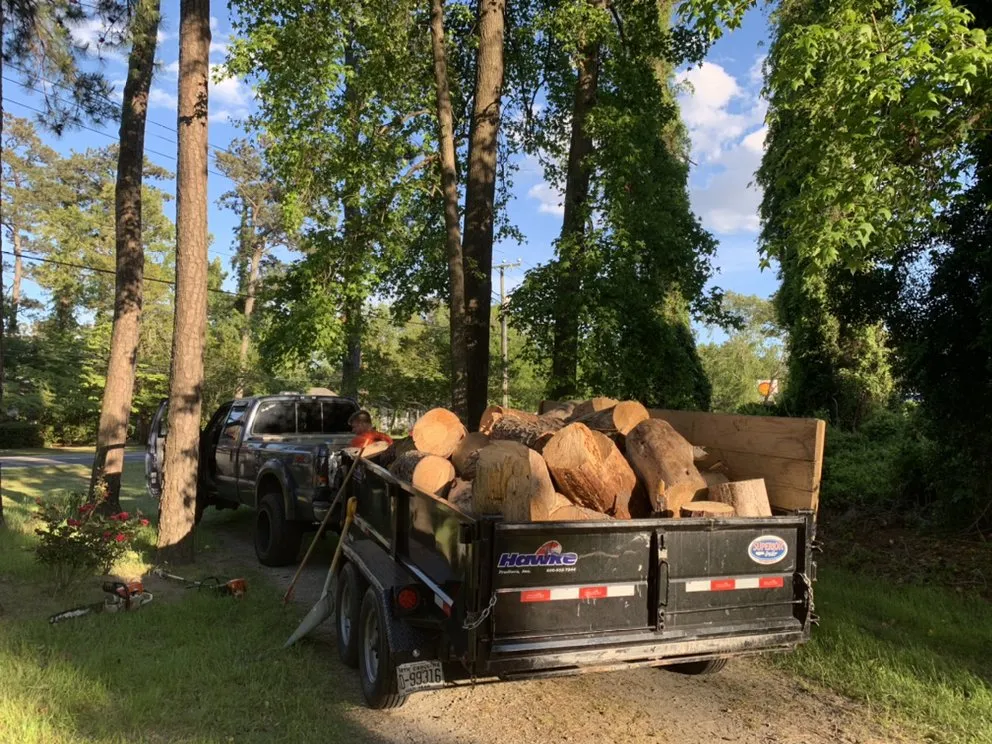Local outdoor landscaping for year-round maintenance in Manteo, NC by Top To Bottom Tree Service and Landscaping