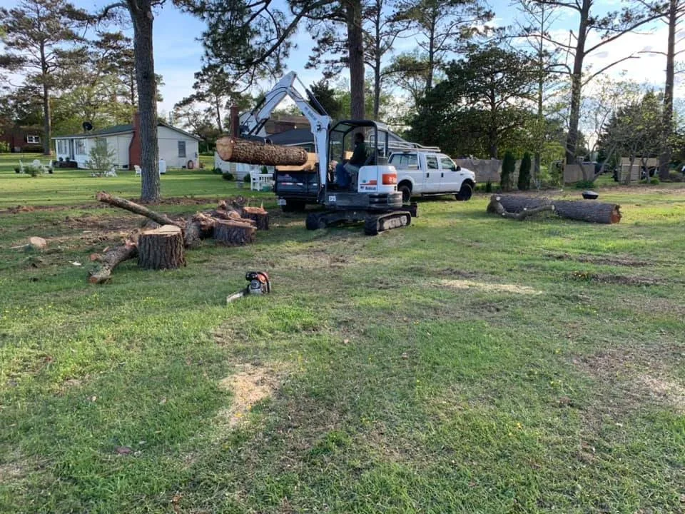 Reliable yard maintenance experts serving Manteo, NC - Top To Bottom Tree Service and Landscaping