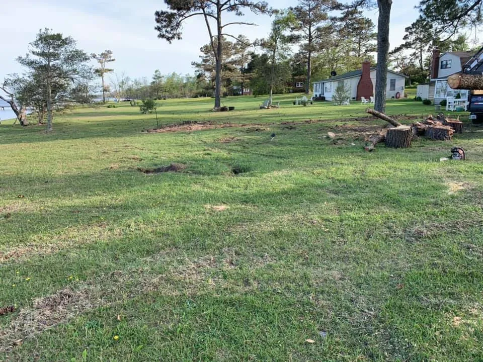 Professional landscaping services in Manteo, NC - Top To Bottom Tree Service and Landscaping