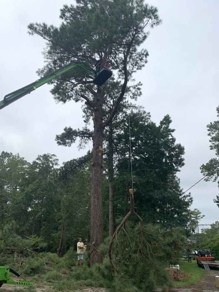 Affordable lawn care service for outdoor upgrades in Manteo, NC by Top To Bottom Tree Service and Landscaping