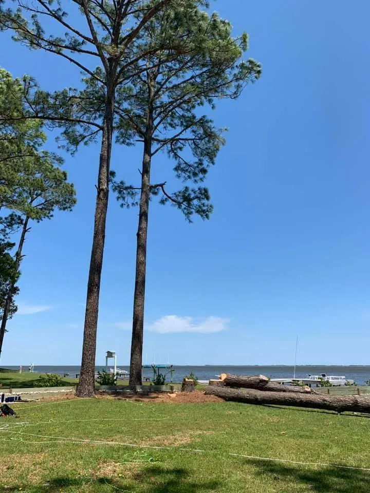 Reliable lawn mowing service in Manteo, NC by Top To Bottom Tree Service and Landscaping