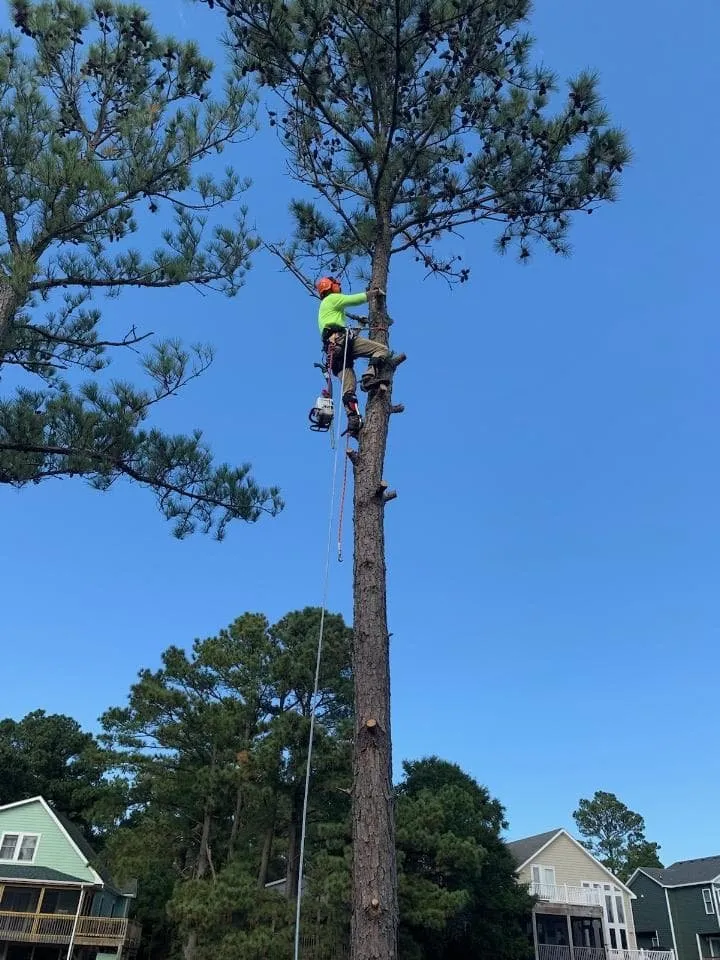 Local lawn mowing service experts serving Manteo, NC - Top To Bottom Tree Service and Landscaping