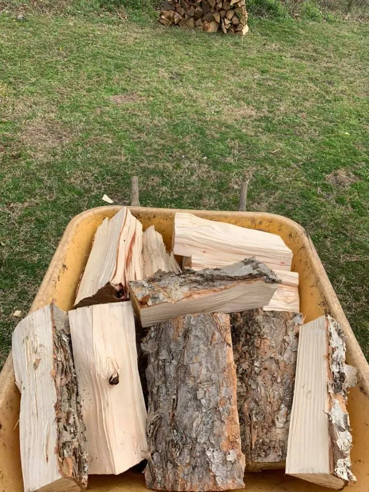 Local yard cleanup service experts serving Manteo, NC - Top To Bottom Tree Service and Landscaping