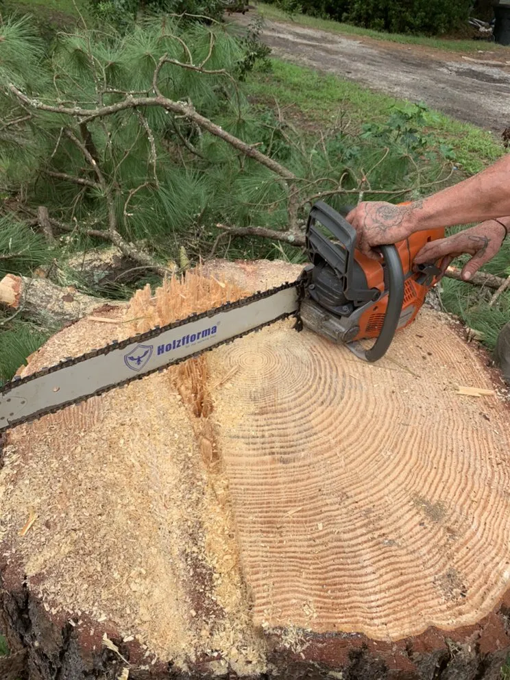 Affordable landscaping services near you across Manteo, NC - Top To Bottom Tree Service and Landscaping