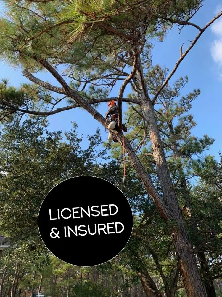 Professional lawn care service for beautiful yards across Manteo, NC - Top To Bottom Tree Service and Landscaping