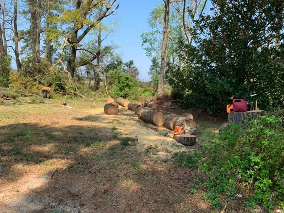 Top-rated lawn mowing service in Manteo, NC - Top To Bottom Tree Service and Landscaping