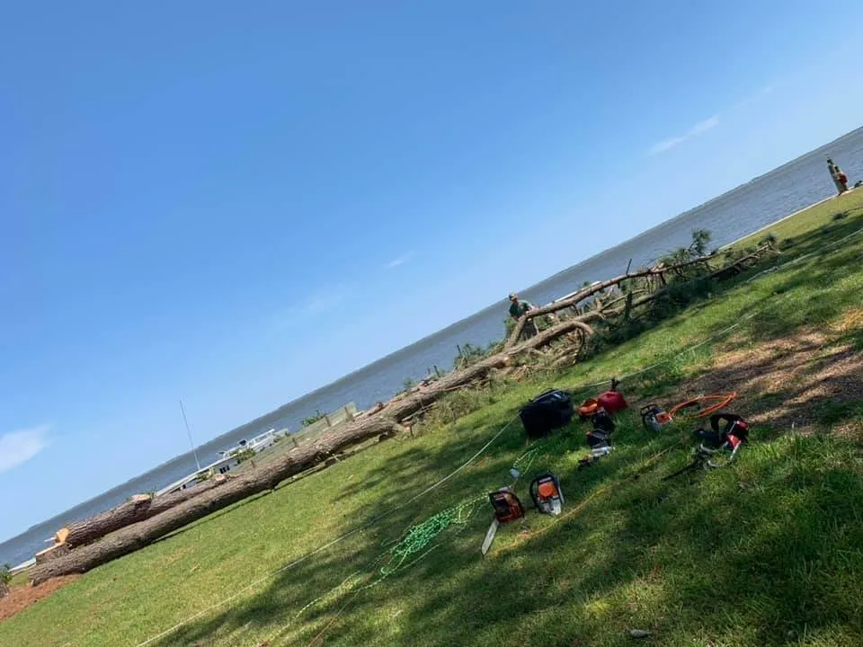 Local yard cleanup service in Manteo, NC by Top To Bottom Tree Service and Landscaping