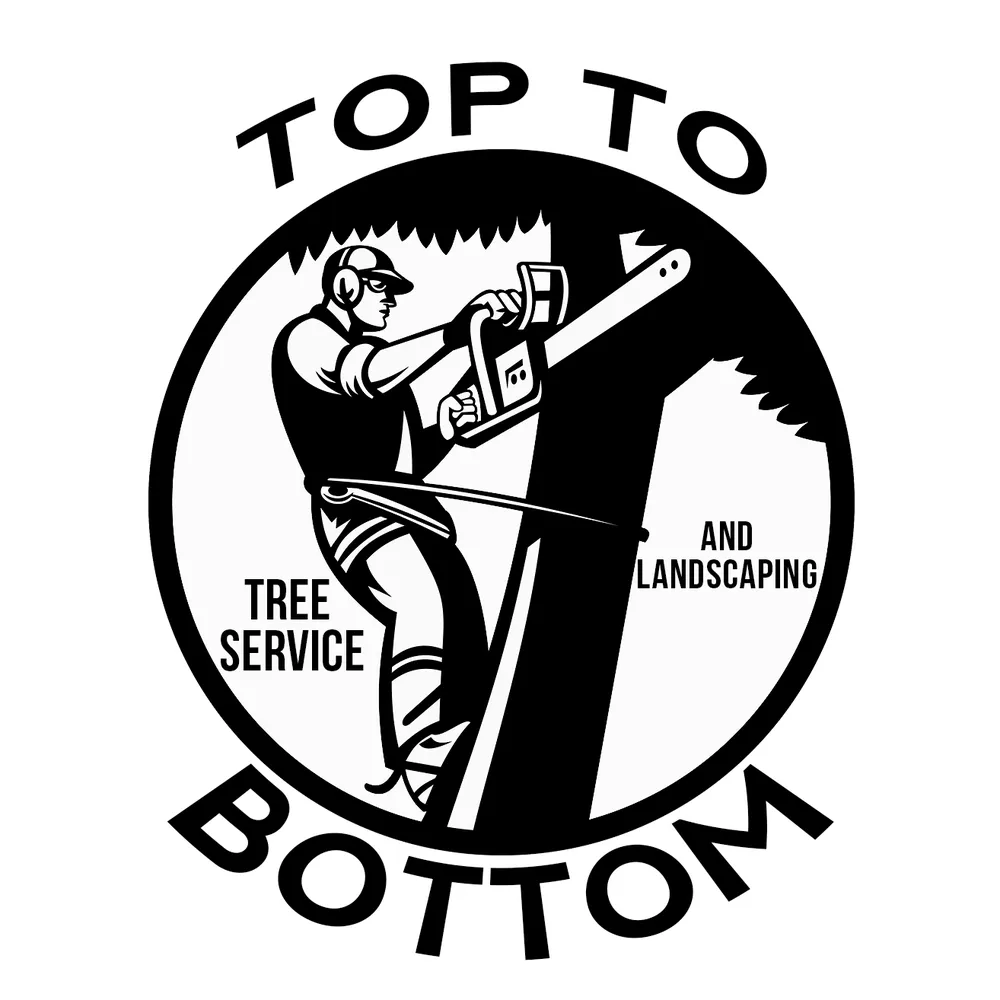 Trusted landscape installation in Manteo, NC - Top To Bottom Tree Service and Landscaping