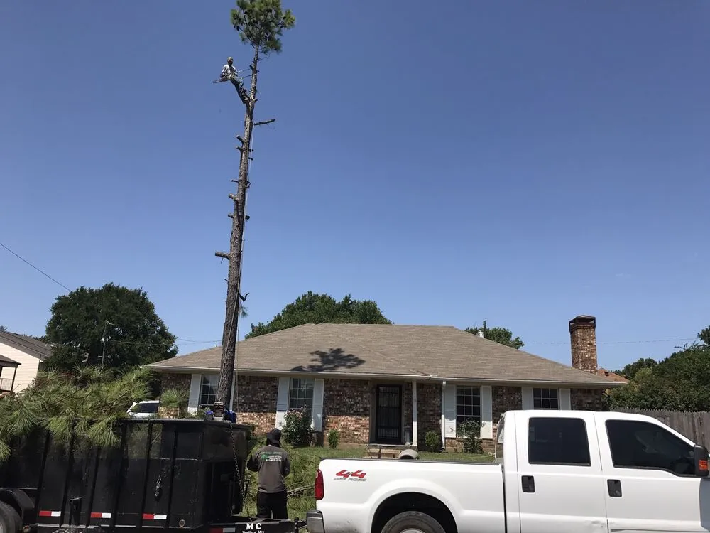 Top-rated landscape installation for homes in Sherman, TX by Top Tree Service