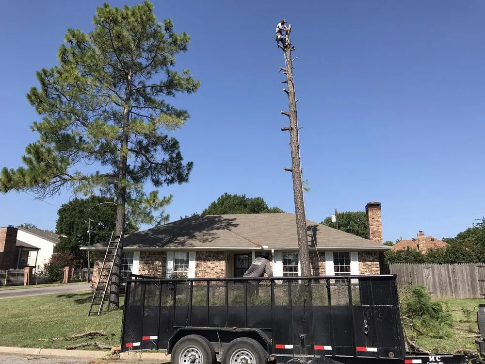 Professional yard maintenance with custom design across Sherman, TX - Top Tree Service