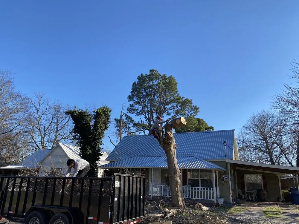 Custom garden landscaping in Sherman, TX - Top Tree Service