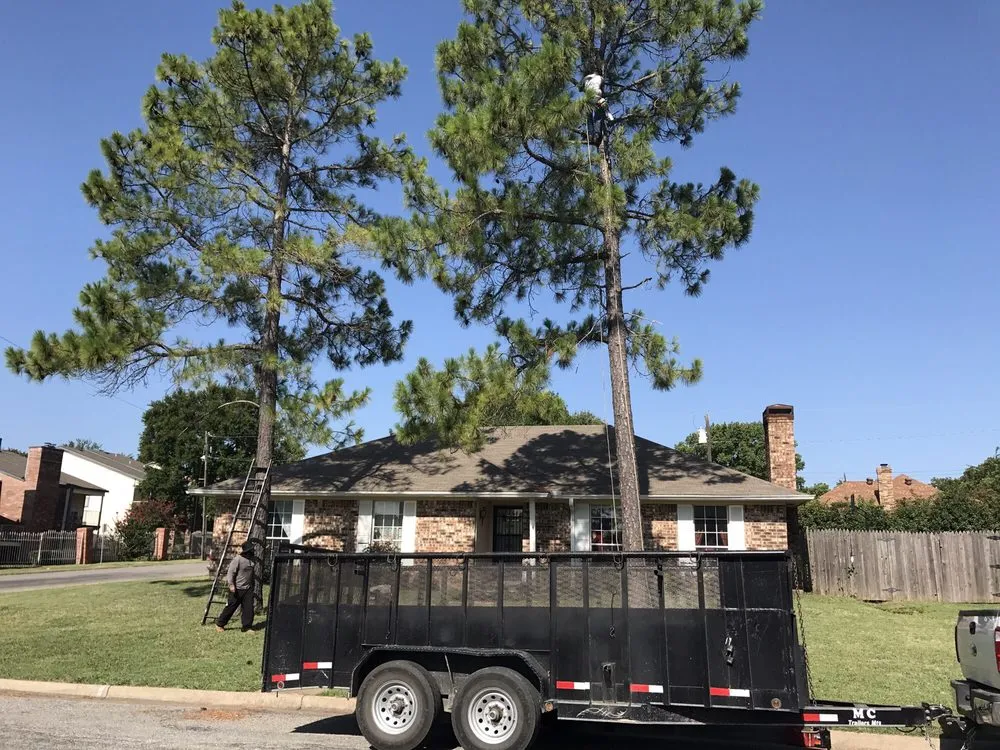 Top-rated yard maintenance in Sherman, TX by Top Tree Service