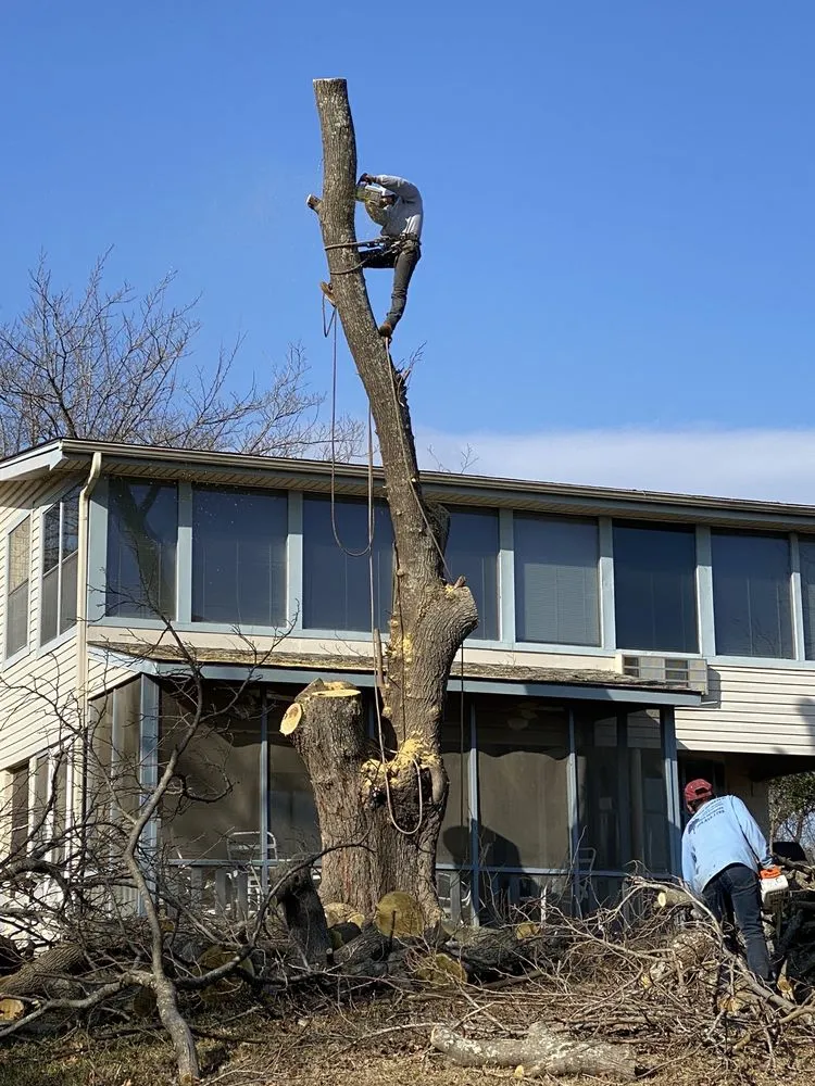 Local landscape installation experts serving Sherman, TX - Top Tree Service