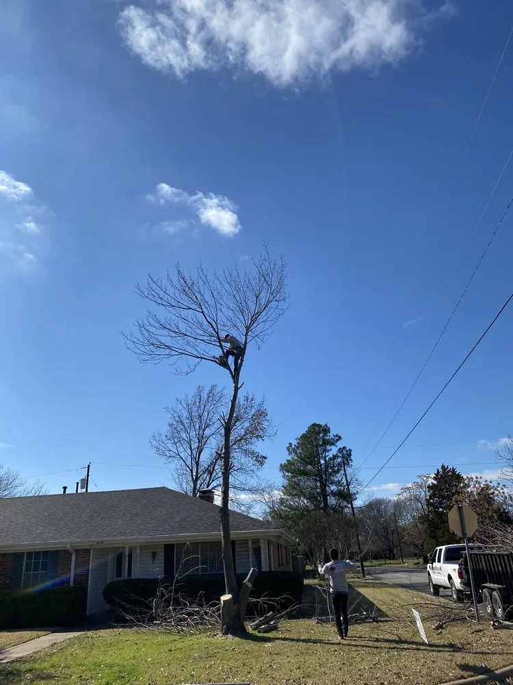 Local lawn mowing service for homes in Sherman, TX by Top Tree Service