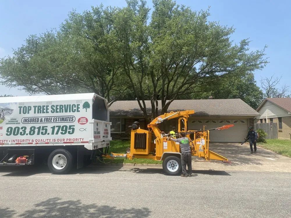 Top-rated yard cleanup service in Sherman, TX by Top Tree Service
