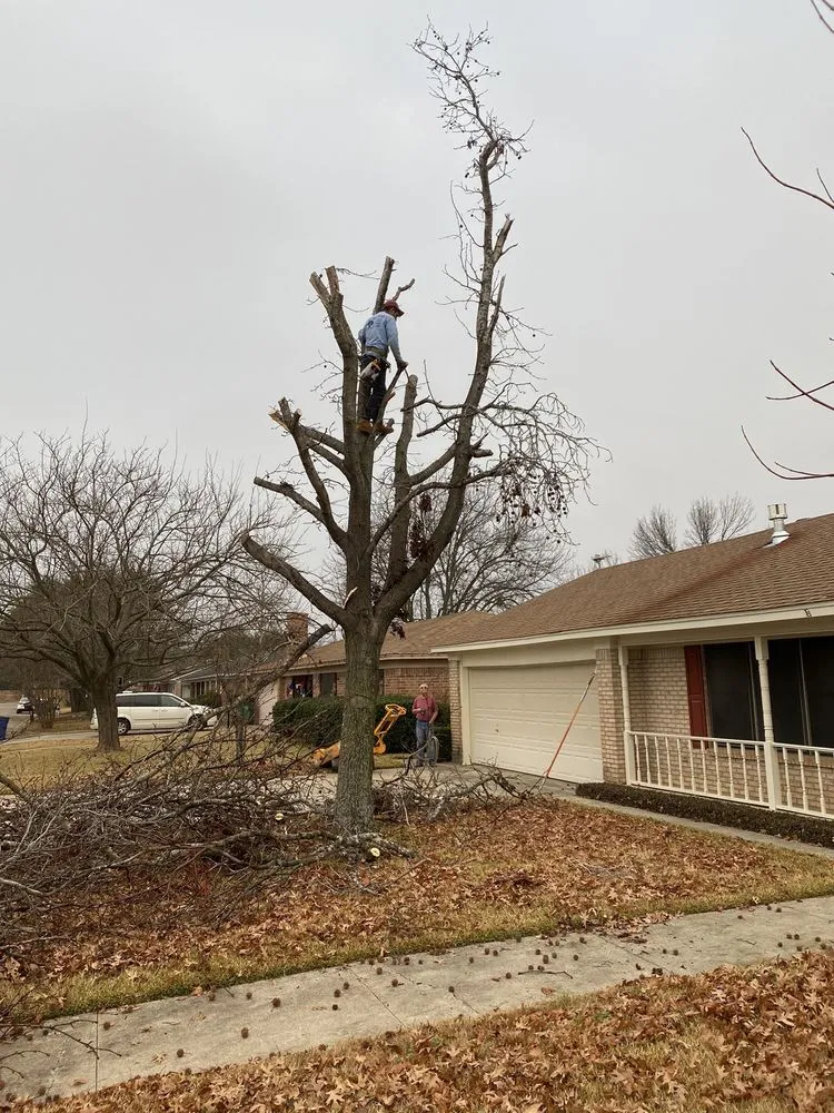 Affordable lawn care service near you across Sherman, TX - Top Tree Service