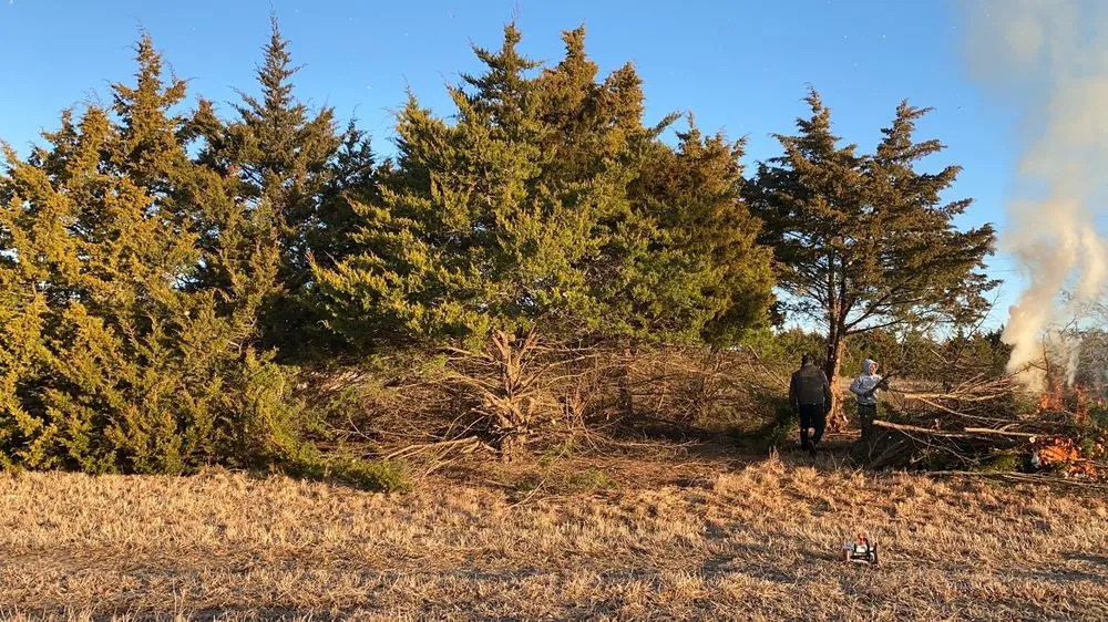 Top-rated landscaping services for beautiful yards across Sherman, TX - Top Tree Service