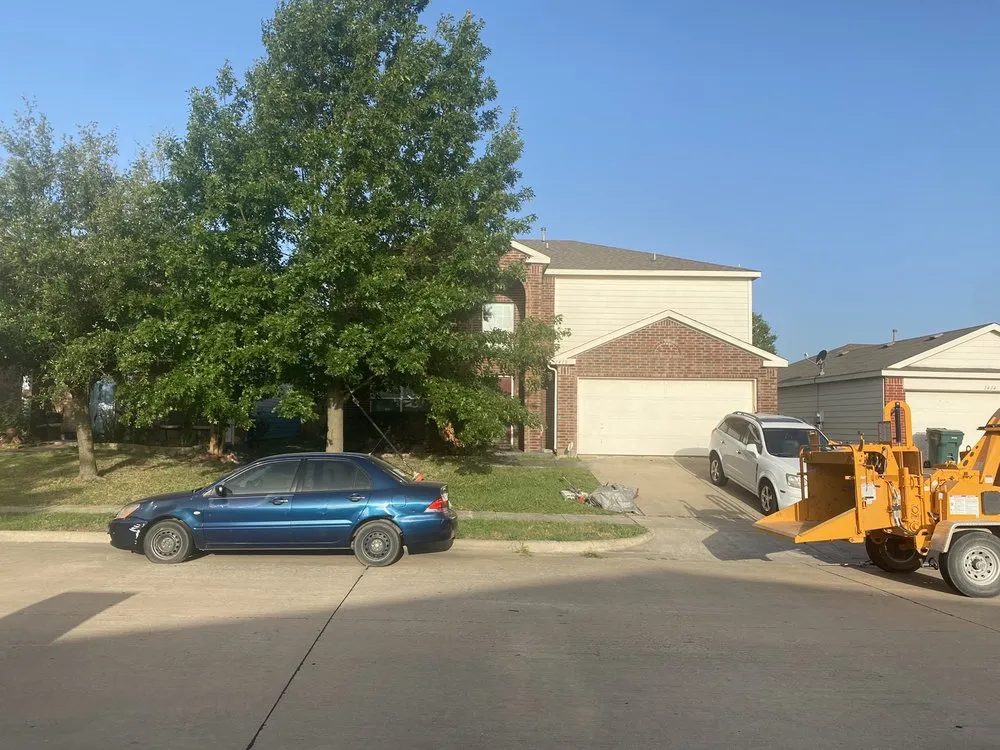 Professional lawn care service for outdoor upgrades in Sherman, TX by Top Tree Service