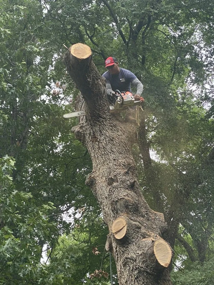 Trusted lawn mowing service experts serving Sherman, TX - Top Tree Service