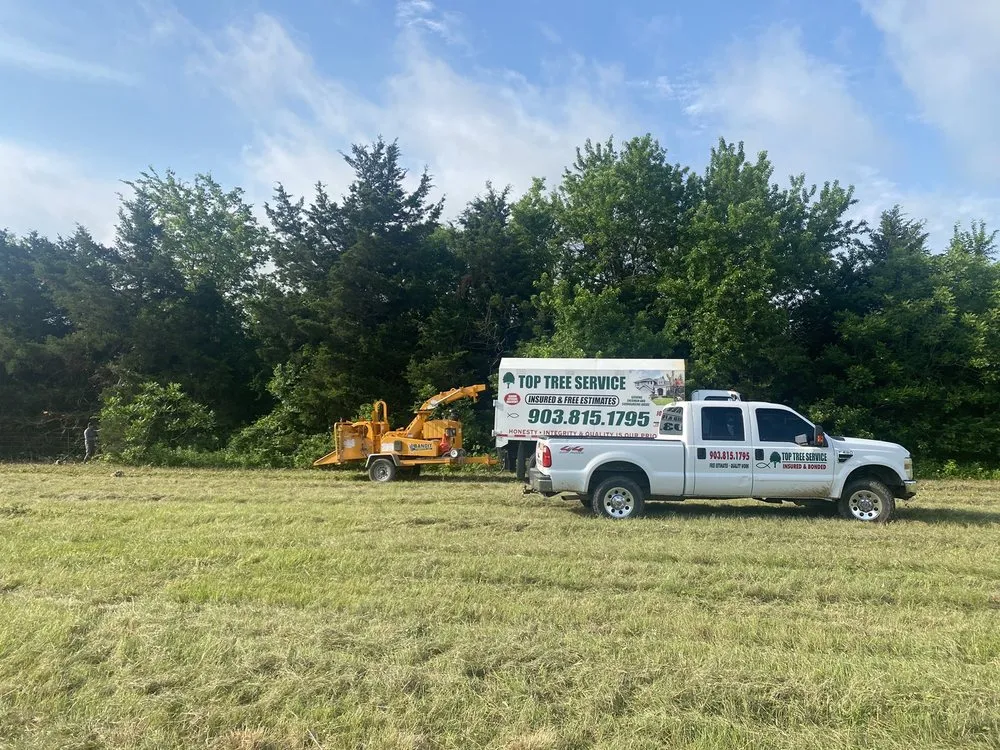 Top-rated residential landscaping for beautiful yards in Sherman, TX by Top Tree Service