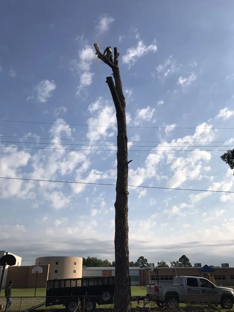 Affordable landscape design experts serving Sherman, TX - Top Tree Service