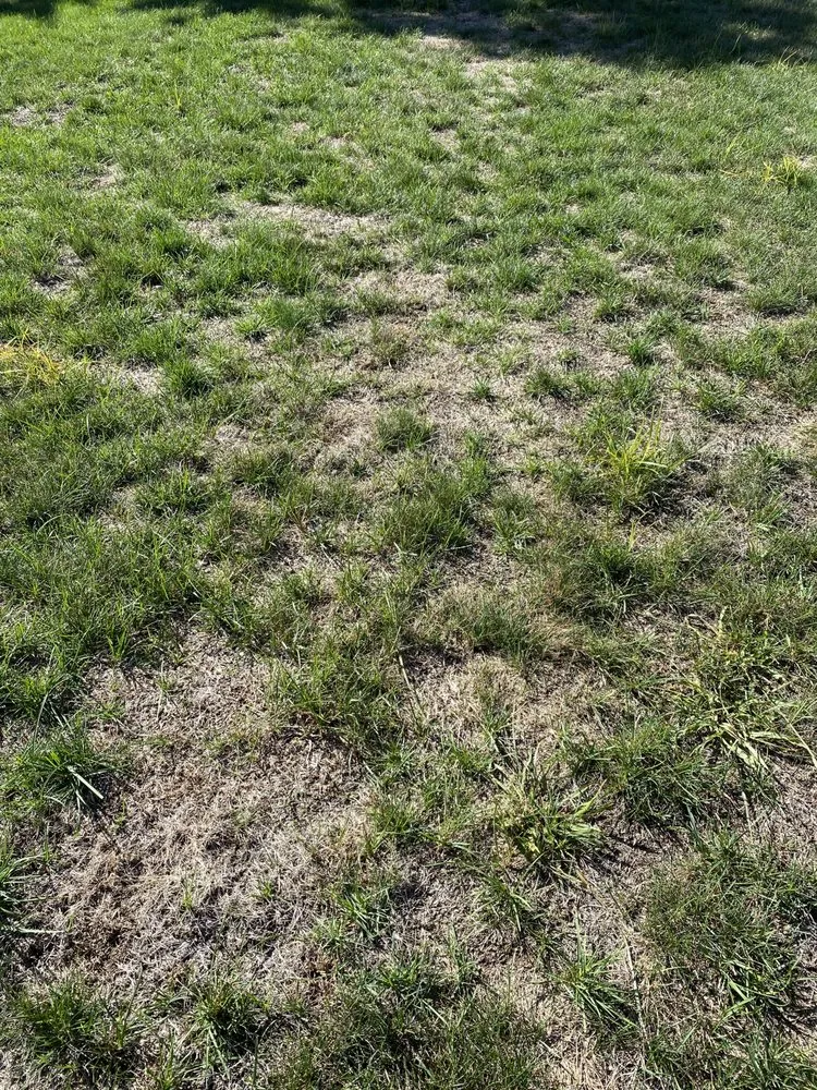 Affordable garden landscaping experts serving Exeter, RI - Top Turf