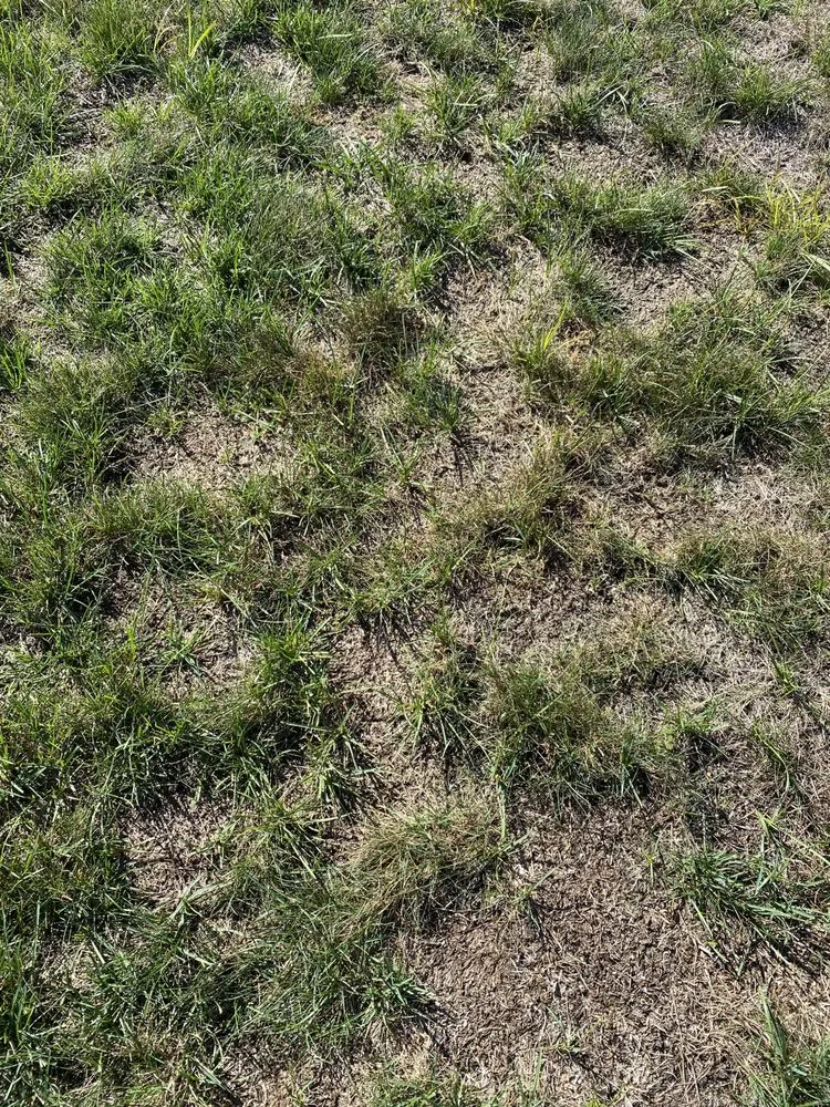 Expert landscape installation in Exeter, RI - Top Turf