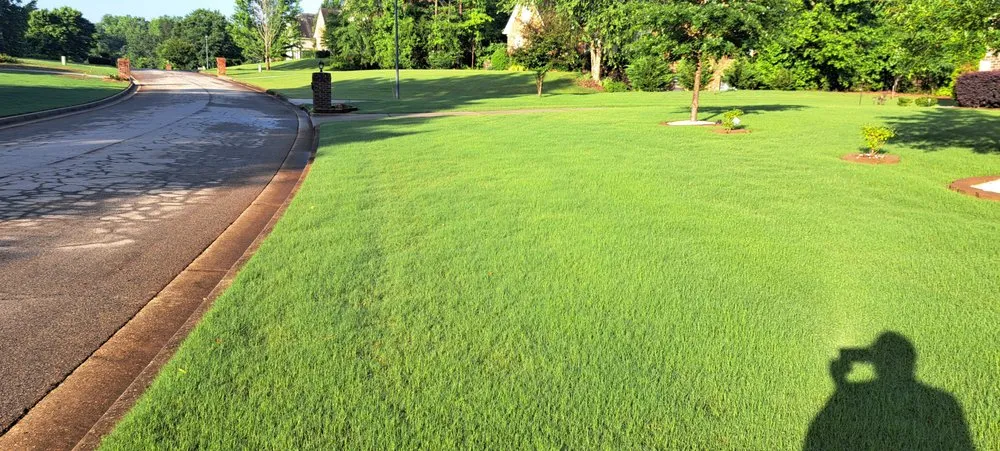 Professional yard cleanup service in Keller, TX by Top Turf