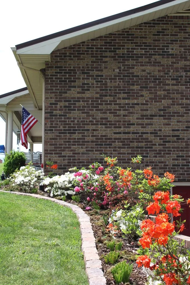 Local yard maintenance in Rogersville, TN by Top Turf Landscaping