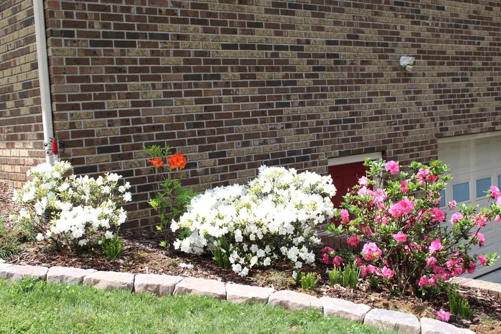 Affordable landscaping services near you in Rogersville, TN by Top Turf Landscaping