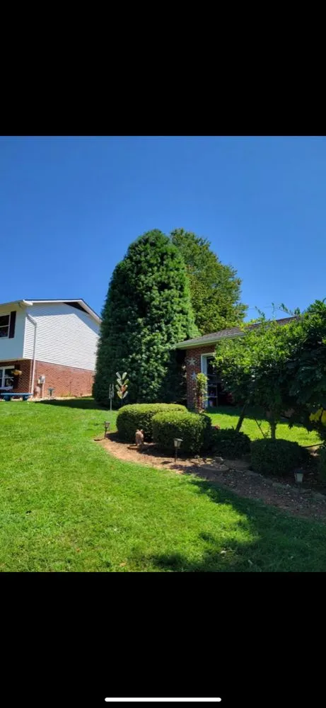 Affordable lawn mowing service in Rogersville, TN - Top Turf Landscaping