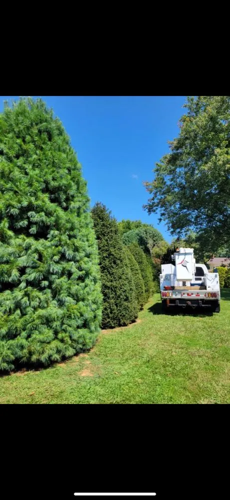 Custom lawn mowing service experts serving Rogersville, TN - Top Turf Landscaping