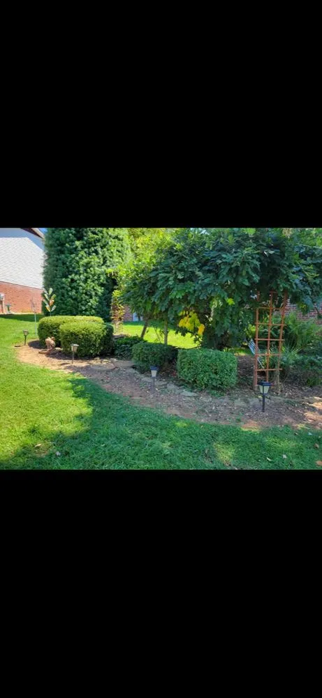 Affordable residential landscaping for outdoor upgrades across Rogersville, TN - Top Turf Landscaping