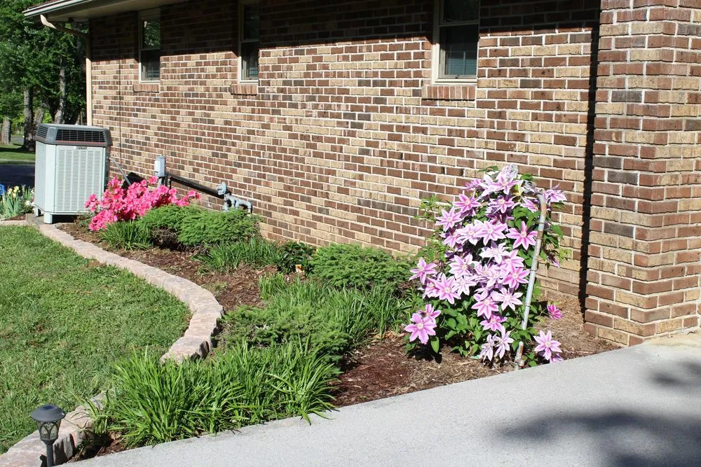 Top-rated lawn care service experts serving Rogersville, TN - Top Turf Landscaping