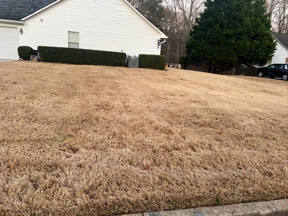 Affordable outdoor landscaping in Charlotte, NC by Top Turf Lawn Care and Pest Management