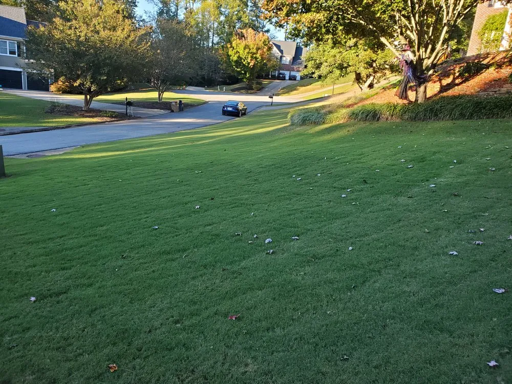 Local lawn mowing service experts serving Columbia, TN - Top Turf Lawn Care and Pest Management