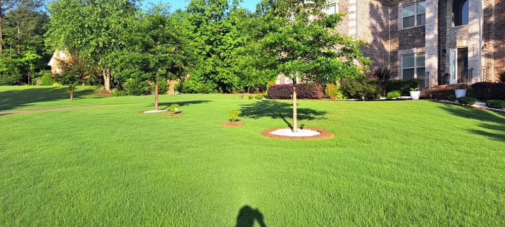 Expert landscaping services in Columbia, TN by Top Turf Lawn Care and Pest Management