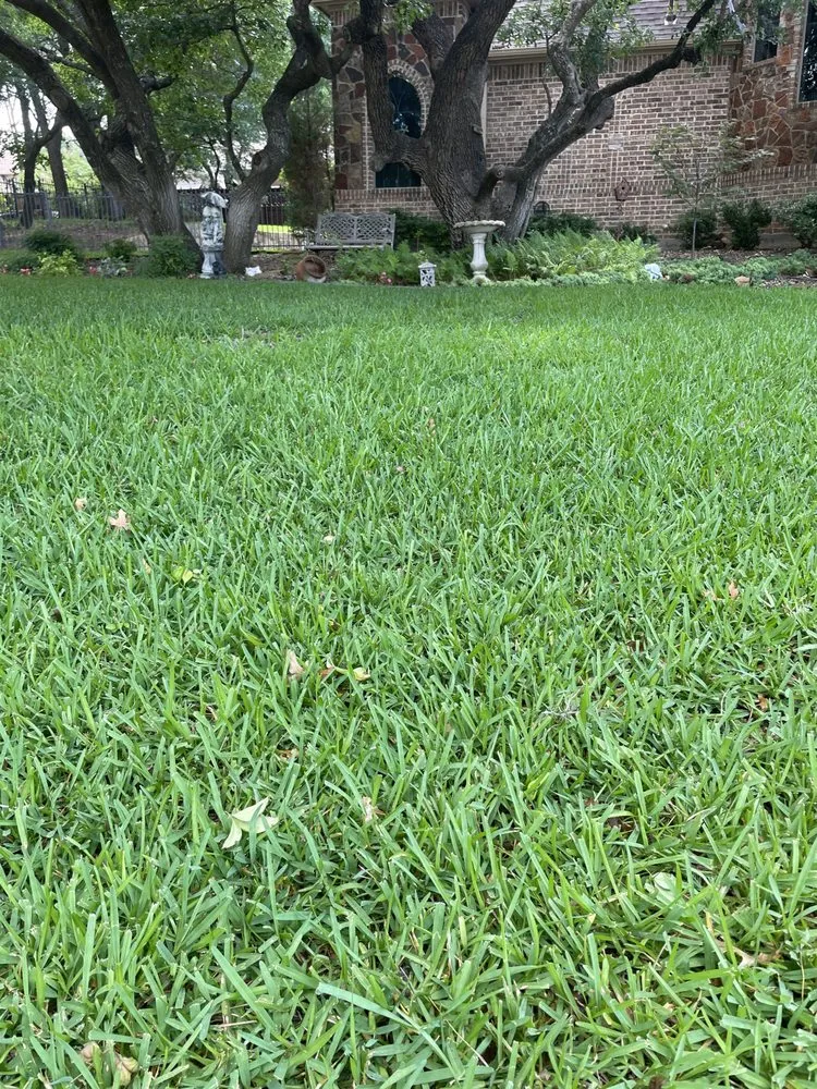 Custom outdoor landscaping for outdoor upgrades in Greer, SC by Top Turf Lawn Care and Pest Management