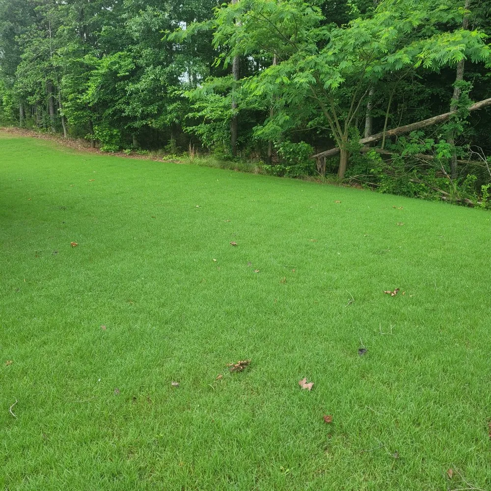 Affordable yard cleanup service for beautiful yards across Greer, SC - Top Turf Lawn Care and Pest Management