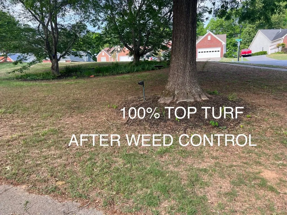 Local landscaping services experts serving Lawrenceville, GA - Top Turf Lawn Care and Pest Management