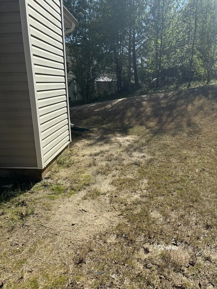 Expert lawn care service for beautiful yards across Lawrenceville, GA - Top Turf Lawn Care and Pest Management