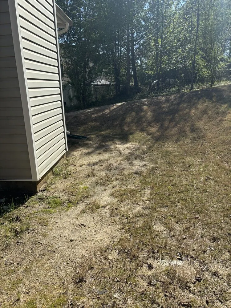 Professional landscape installation for outdoor upgrades in Lawrenceville, GA by Top Turf Lawn Care and Pest Management