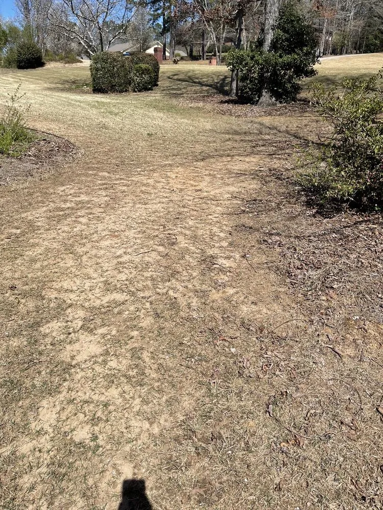 Professional landscaping services in Lawrenceville, GA by Top Turf Lawn Care and Pest Management