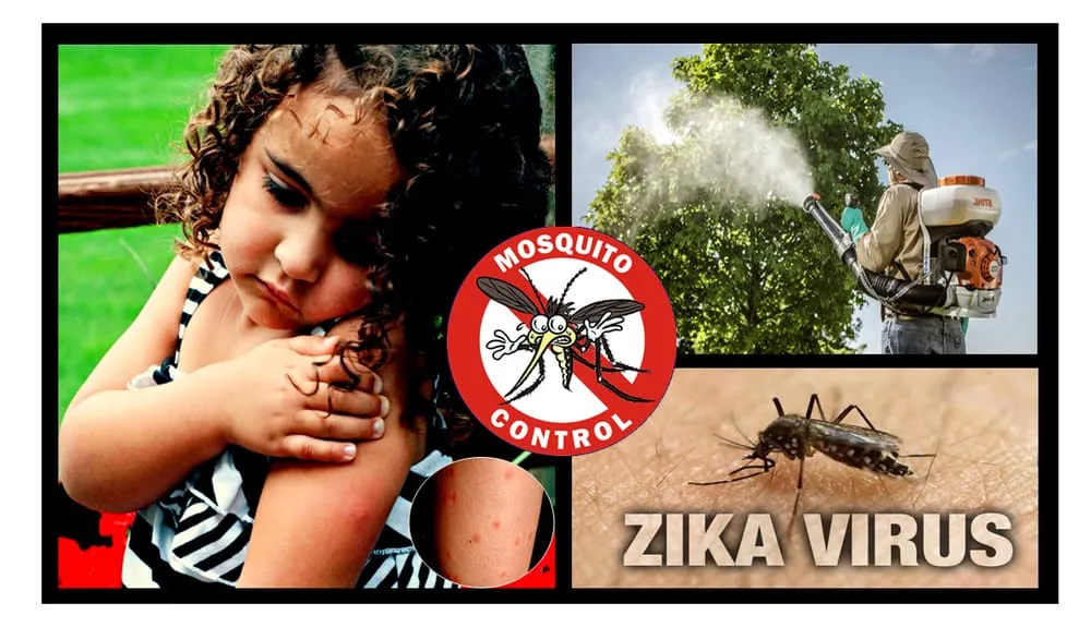 Top-rated landscape installation in Lawrenceville, GA by Top Turf Lawn Care and Pest Management