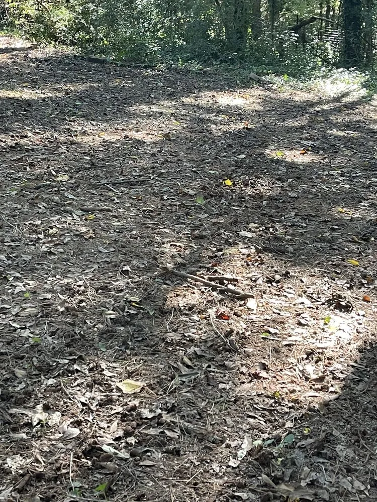 Custom lawn mowing service for homes in Lawrenceville, GA by Top Turf Lawn Care and Pest Management