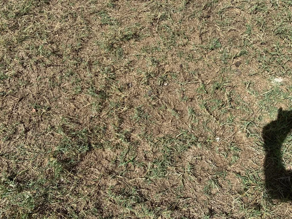 Professional outdoor landscaping experts serving Lawrenceville, GA - Top Turf Lawn Care and Pest Management