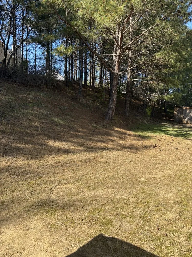 Custom garden landscaping in Lawrenceville, GA - Top Turf Lawn Care and Pest Management