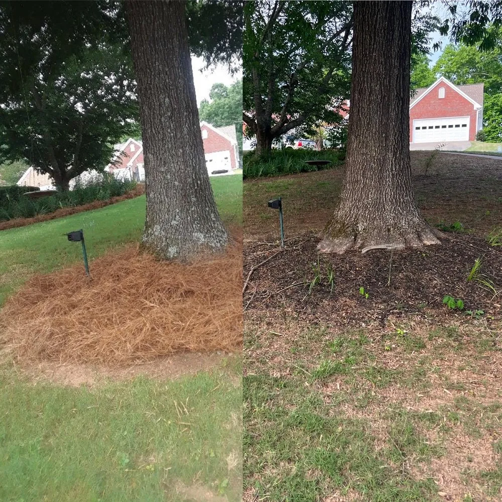 Custom outdoor landscaping in Lawrenceville, GA - Top Turf Lawn Care and Pest Management