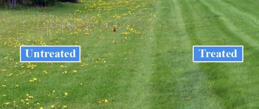 Local garden landscaping experts serving Troy, NY - Top Turf Lawn Solutions